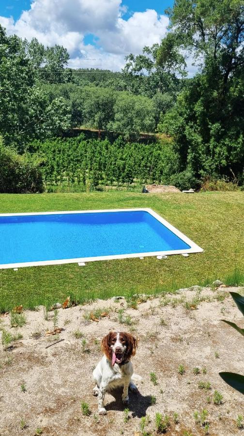 Quinta Do Sanguinhal Villa Rio Maior Ngoại thất bức ảnh