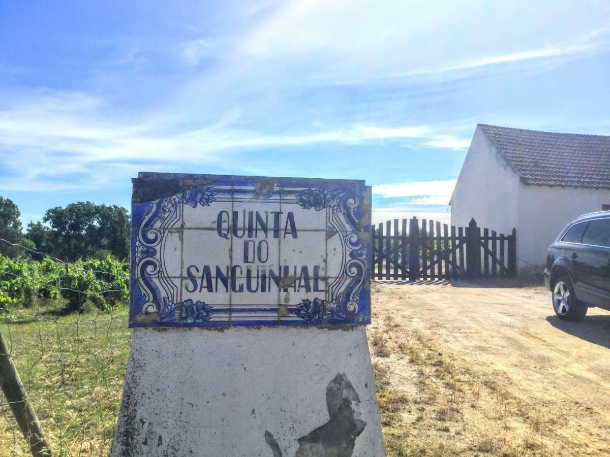 Quinta Do Sanguinhal Villa Rio Maior Ngoại thất bức ảnh