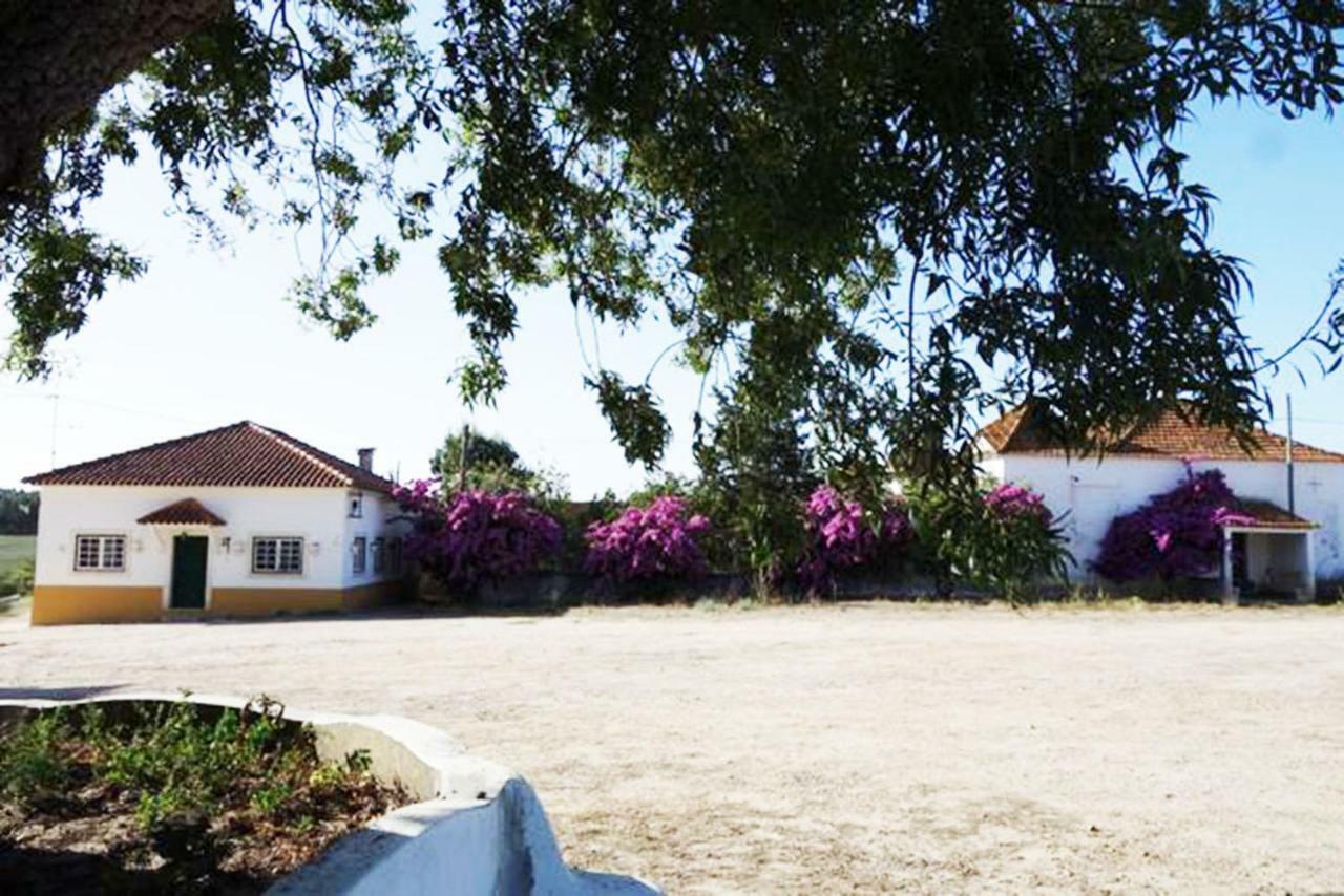 Quinta Do Sanguinhal Villa Rio Maior Ngoại thất bức ảnh